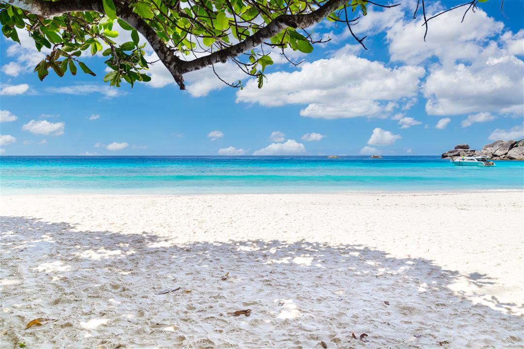 Gallery image for Similan Islands By Power Catamaran (Premium)